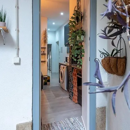 Modern Rustic In Graca Appartement *